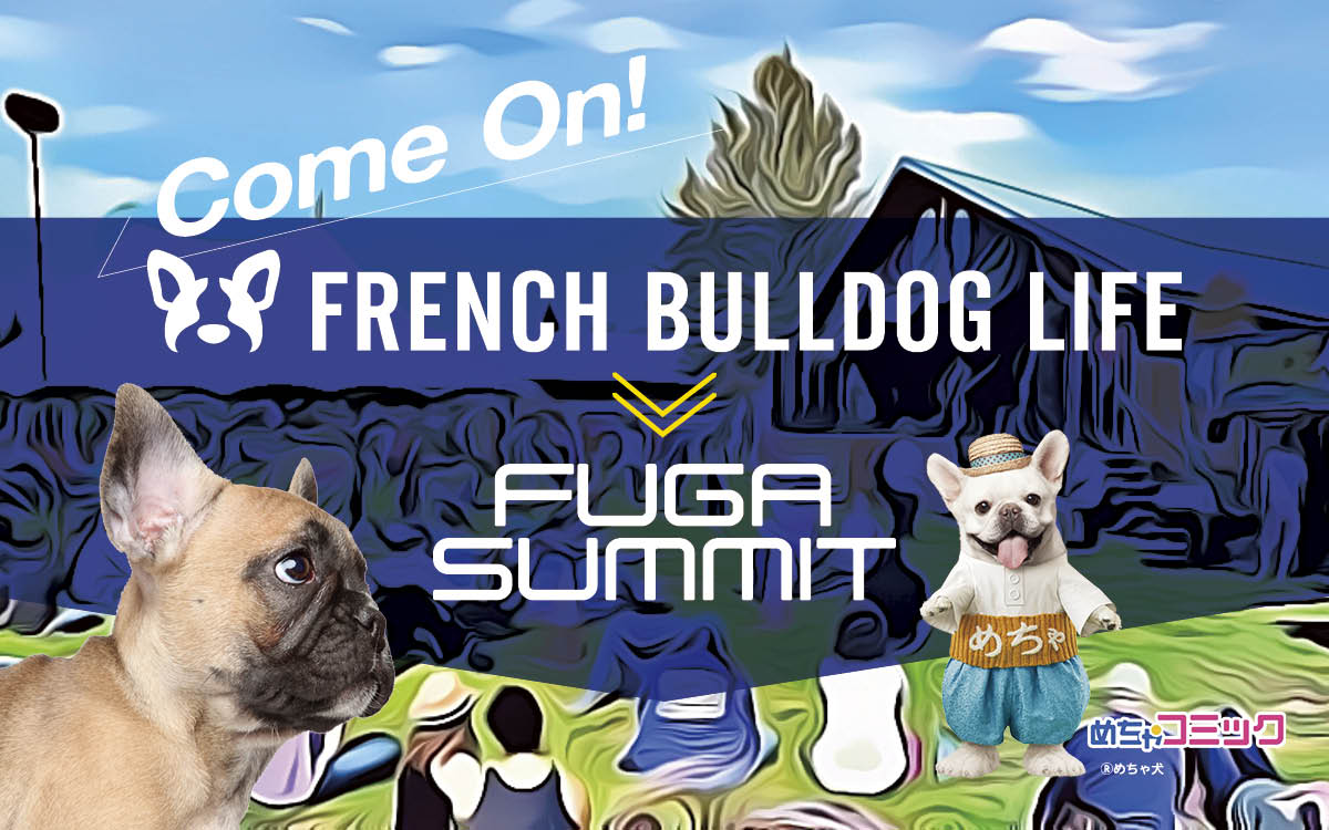 French Bulldog Life 保護犬のためのチャリティイベント Fuga Summit 19 に協賛出展 ブースにて めちゃ犬 の立ちぐるみの配布やチャリティートートバッグを販売 株式会社voyage Group