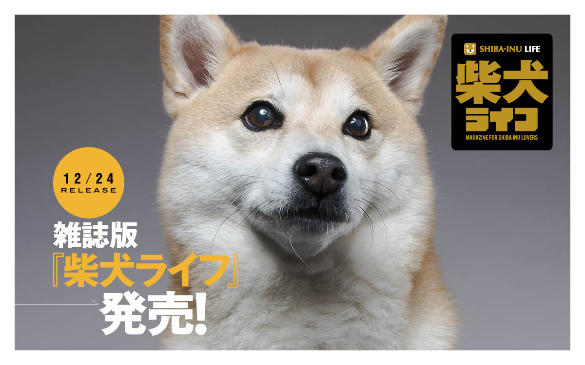 Rakanu 雑誌版 柴犬ライフ が季刊誌に 柴犬ライフ 冬号 好評予約受付中 早くも Amazon 動物 ペット カテゴリで ベストセラー1位獲得 発売日は12月24日 株式会社voyage Group