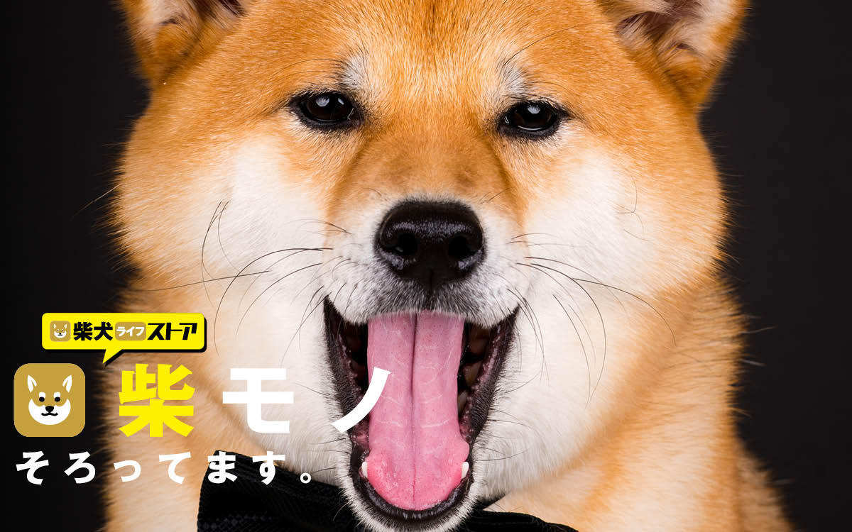 Rakanu 柴犬特化メディア Shiba Inu Life のオンラインストア 柴犬ライフストア をオープン 柴犬に特化したオリジナルコラボ商品や厳選商品を販売 愛柴のオリジナルグッズも作れる 株式会社voyage Group