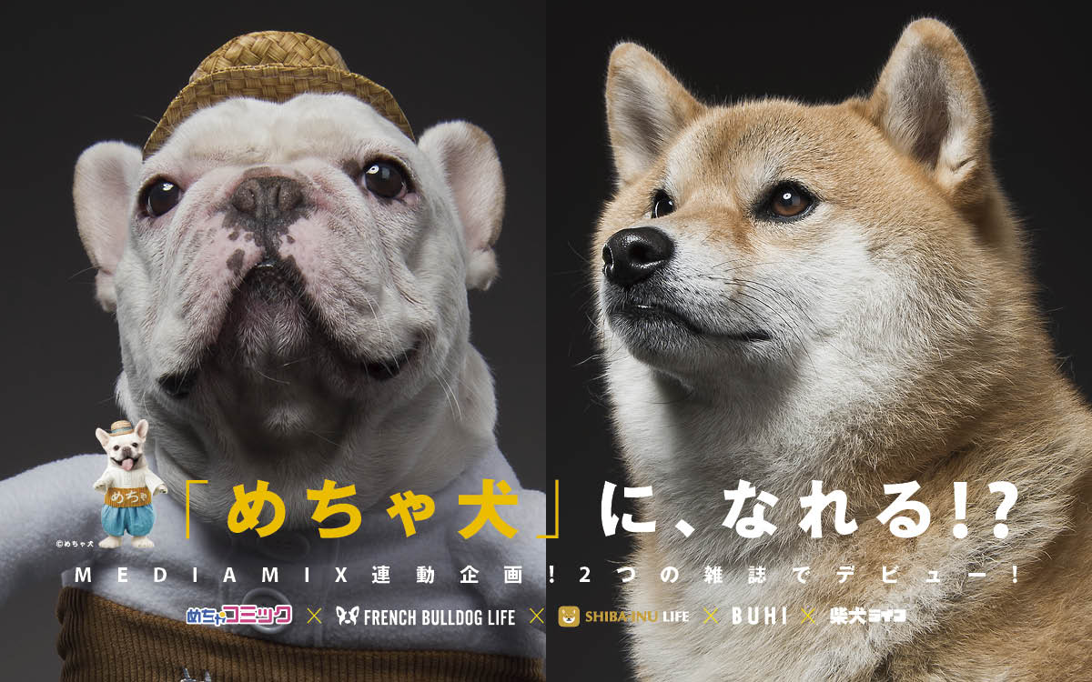 rakanu、あなたの愛犬も「めちゃ犬」に、なれる！？「フレブルvs柴犬」のInstagram投稿キャンペーン実施～めちゃコミックコラボ企画