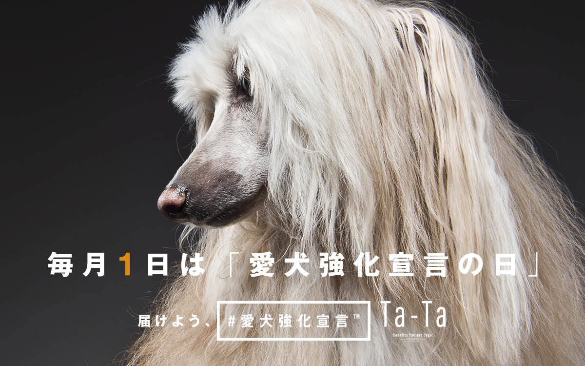 犬用コラーゲンサプリ Ta Ta 毎月1日を 愛犬強化宣言の日 に制定 株式会社voyage Group
